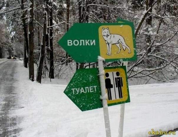 ВОЛКИ ТУАЛЕТ