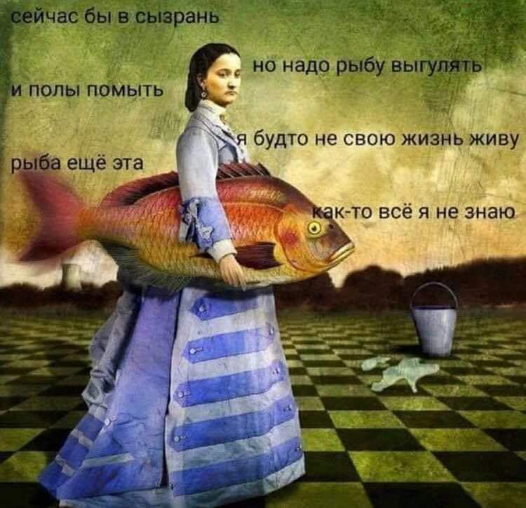 сейчас бы в сызрань но надо рыбу выгулять и полы помыть я будто не свою жизнь живу рыба ещё эта как-то всё я не знаю