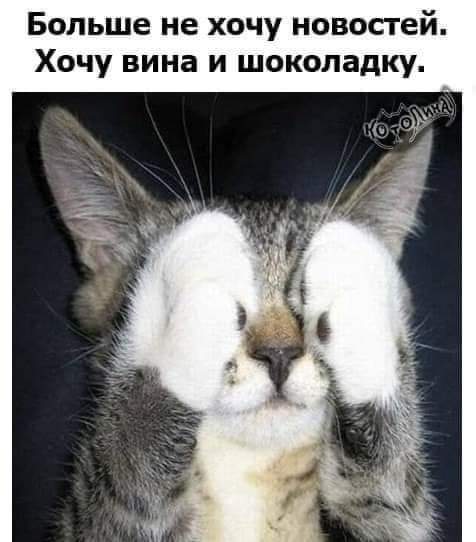 Больше не хочу новостей. Хочу вина и шоколадку.
