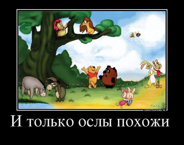 Fuza. DEMOTIVATORS.TO И только ослы похожи