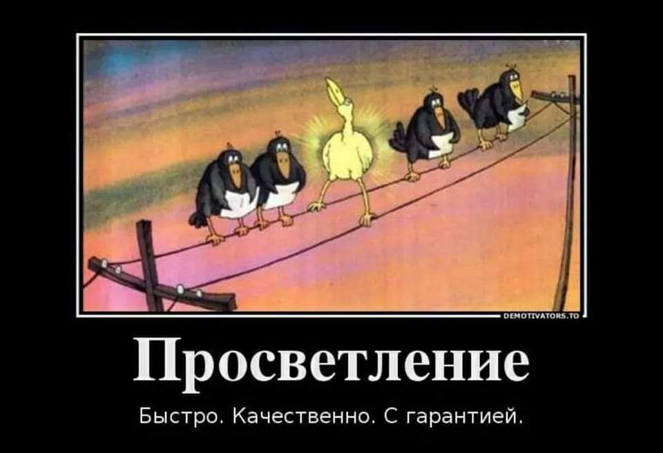 DEMOTIVATORS.TO Просветление Быстро. Качественно. С гарантией.