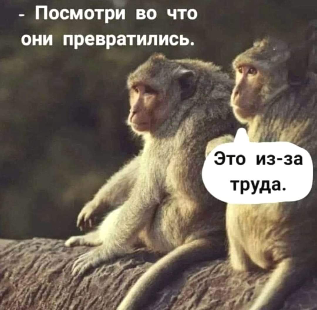 - Посмотри во что они превратились. Это из-за труда.