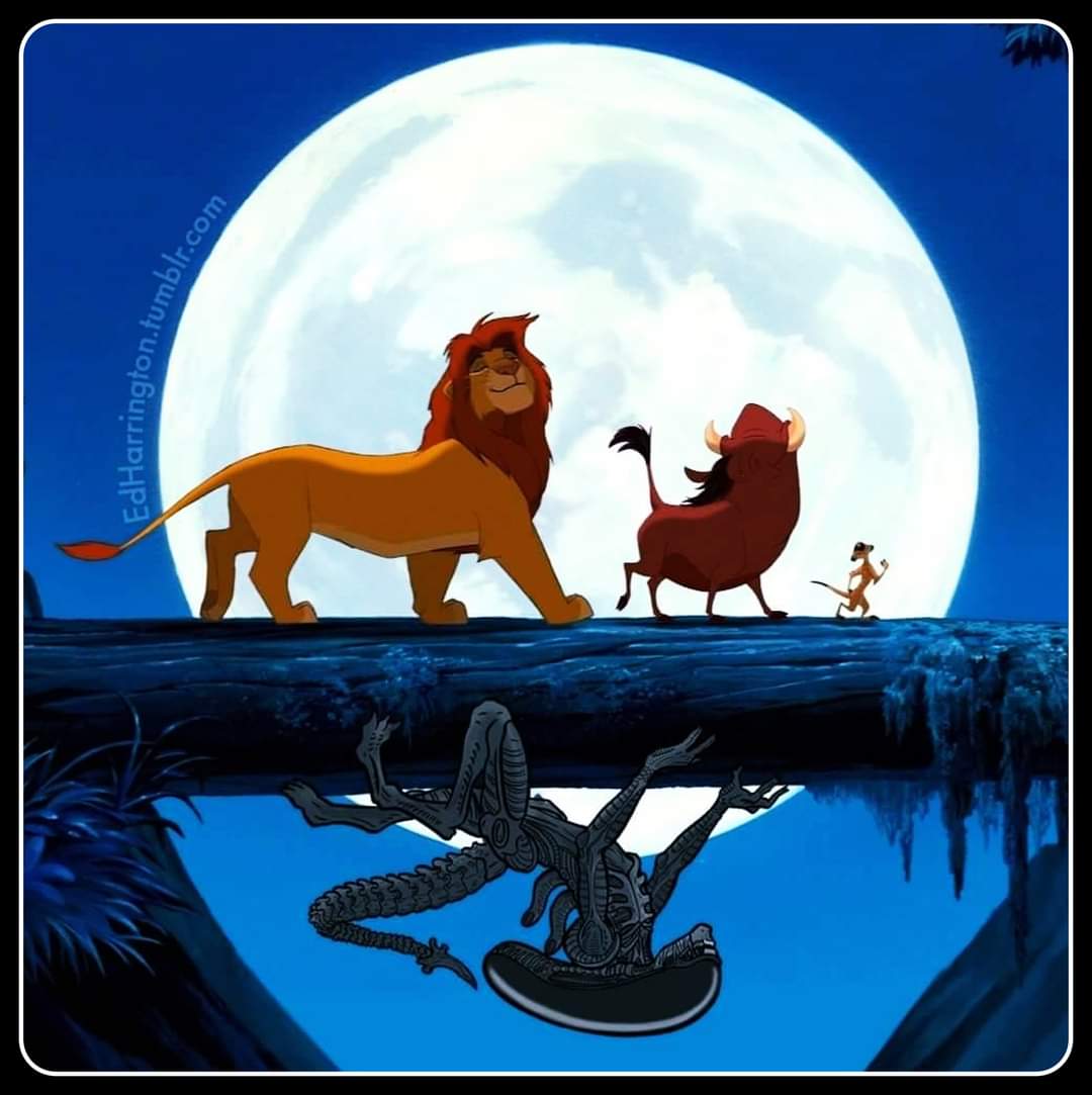 EdHarrington.fumblr.com