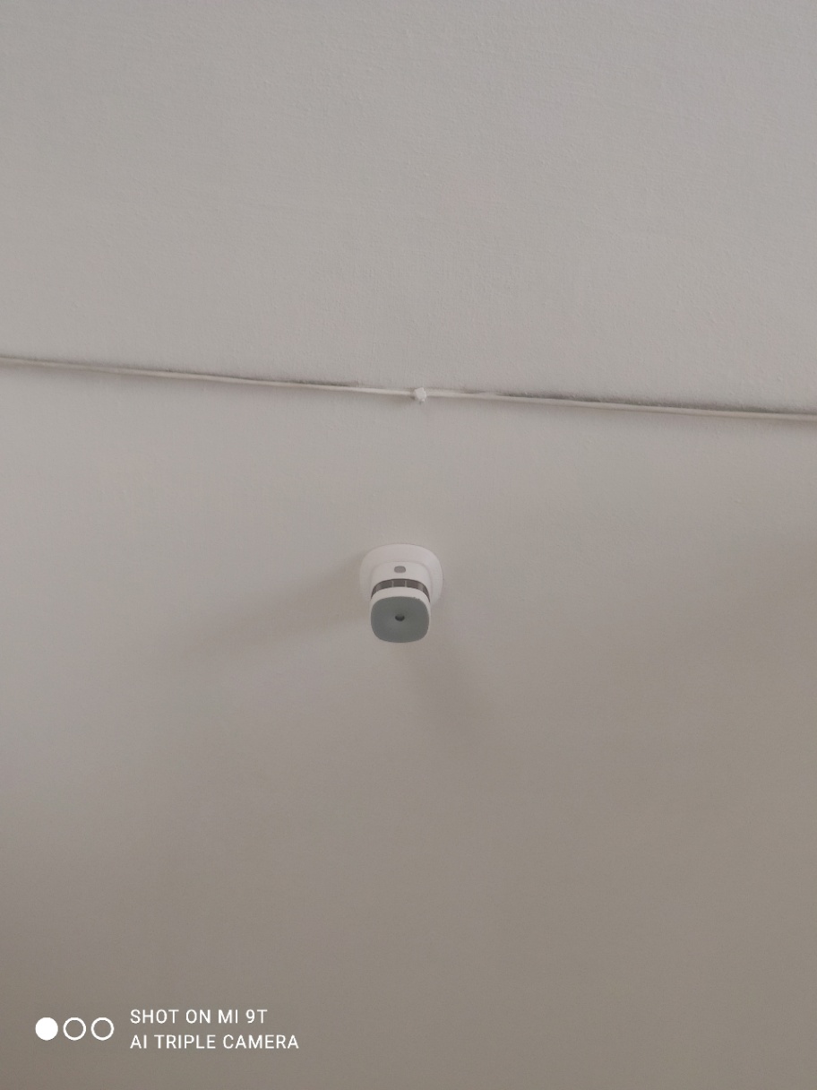 SHOT ON MI 9T AI TRIPLE CAMERA